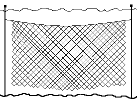 metnica-obicna.gif